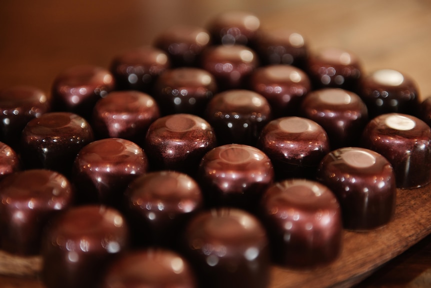 Chocolate southern forests