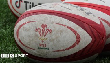 Welsh Rugby Union branded ball