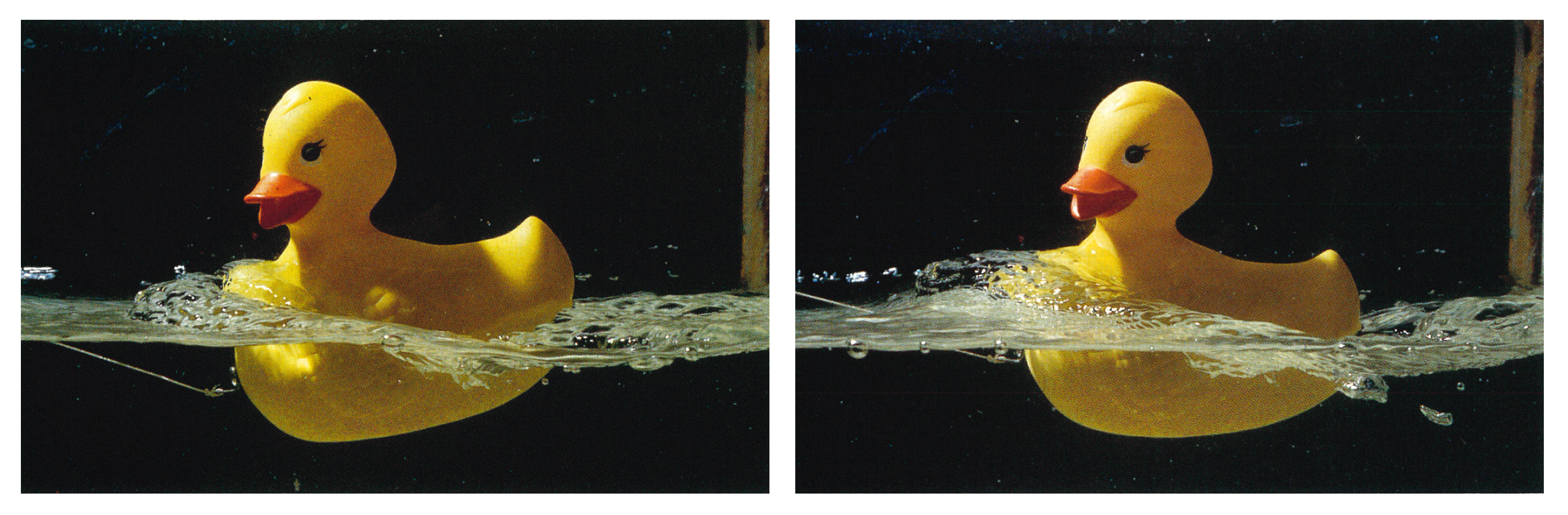 Two rubber duckies oriented differently in the water.