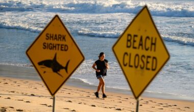 Sydney’s week of horror and healing