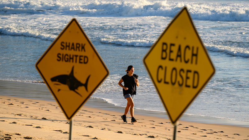 Sydney’s week of horror and healing