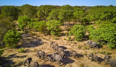 who is in danger, where and why?