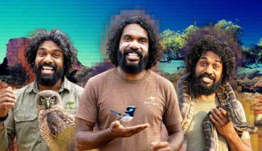 This TikTok star sharing Australian animal stories doesn’t exist – it’s AI Blakface