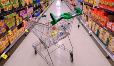 Do Woolworths shoppers want Google AI adding items to buy? We’ll soon find out