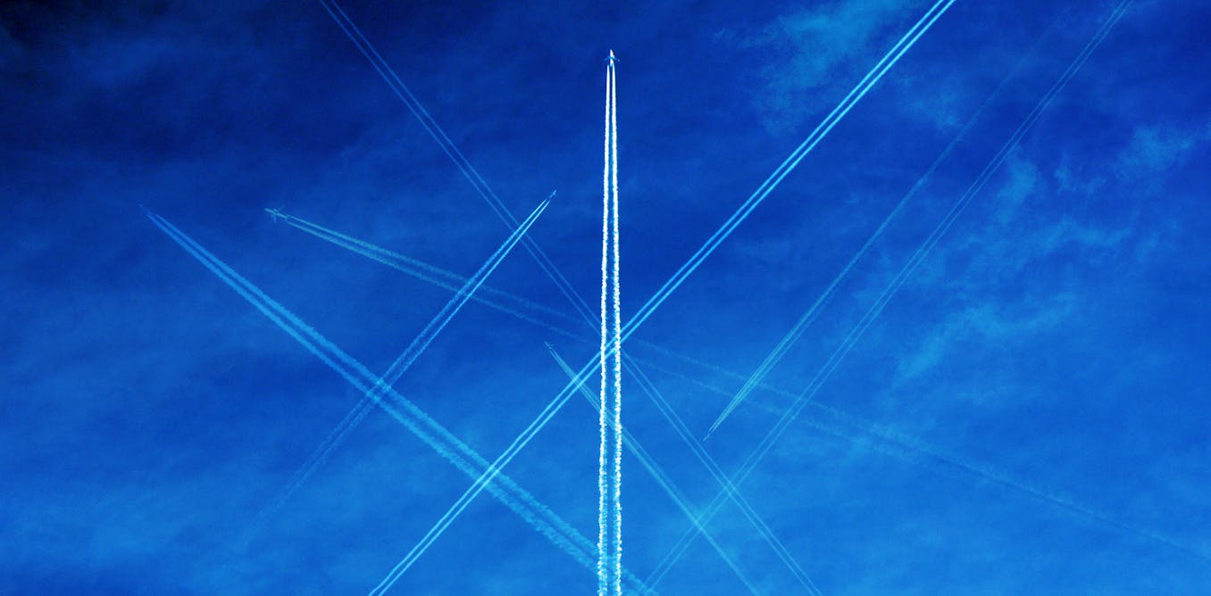 Despite its steep environmental costs, AI might also help save the planet