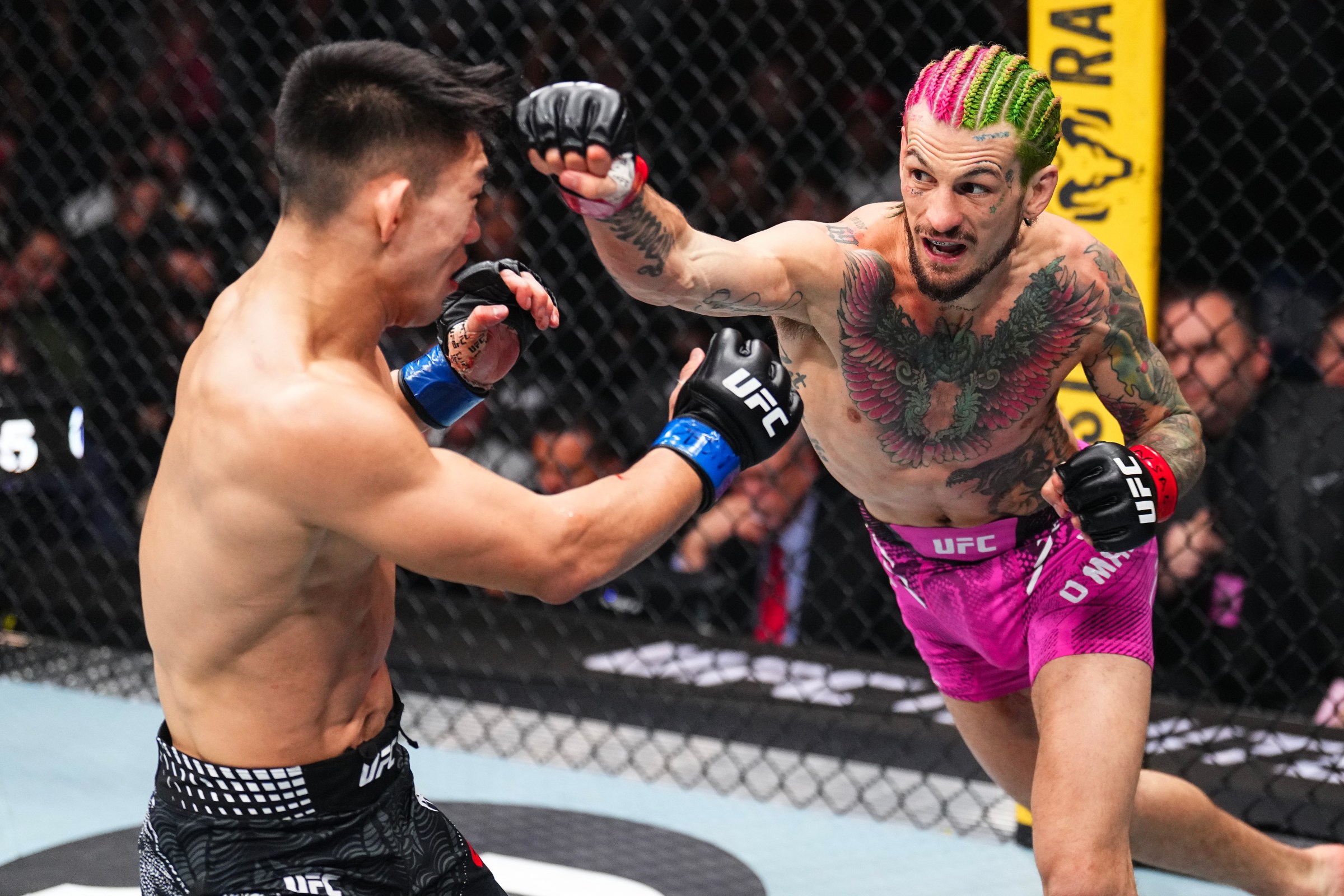 LAS VEGAS, NEVADA - JANUARY 24: (L-R) Sean O’Malley strikes Song Yadong of China in a bantamweight bout during the UFC 324 event at T-Mobile Arena on January 24, 2026 in Las Vegas, Nevada. (Photo by Chris Unger/Zuffa LLC)