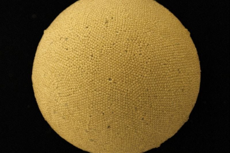 Brighter Side of News