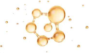 How scientists are turning thyme into precision medicine