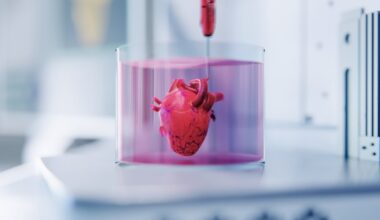 Tiny human heart organoids open the door to safer, faster drug discovery