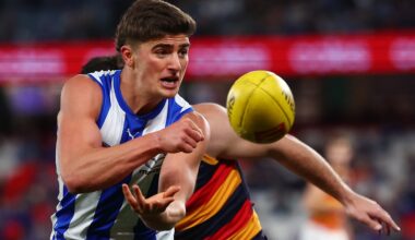 Don't forget this young gun, why Sheezel is a must-have