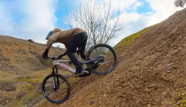 haibike allmtn dog review