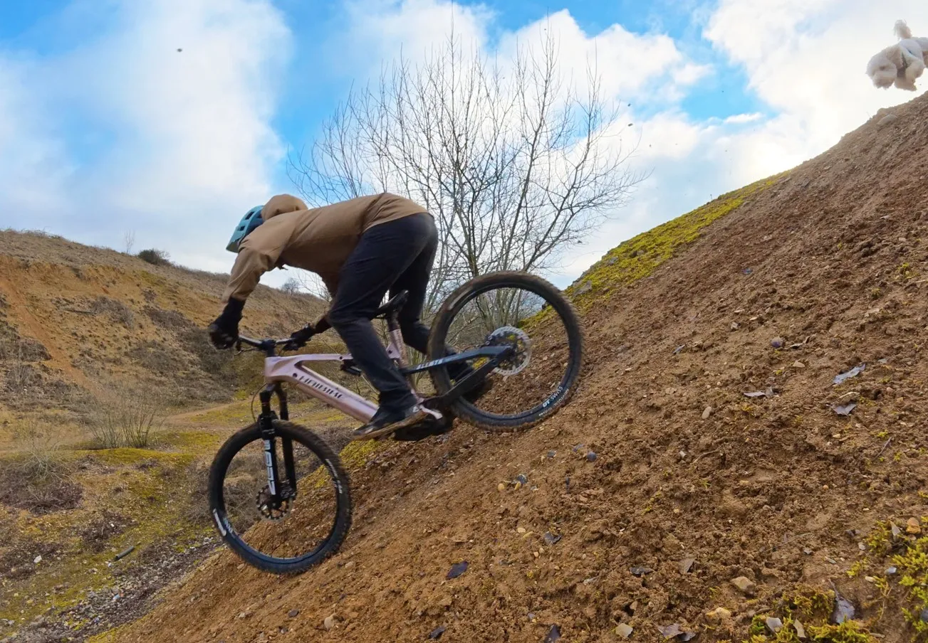 haibike allmtn dog review