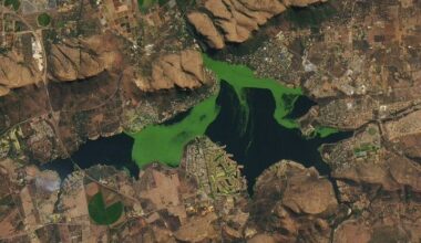 Algae Swirls Across a South African Reservoir