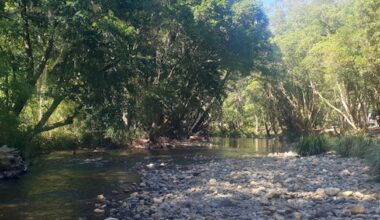Two dead, woman in serious condition after drowning in NSW river