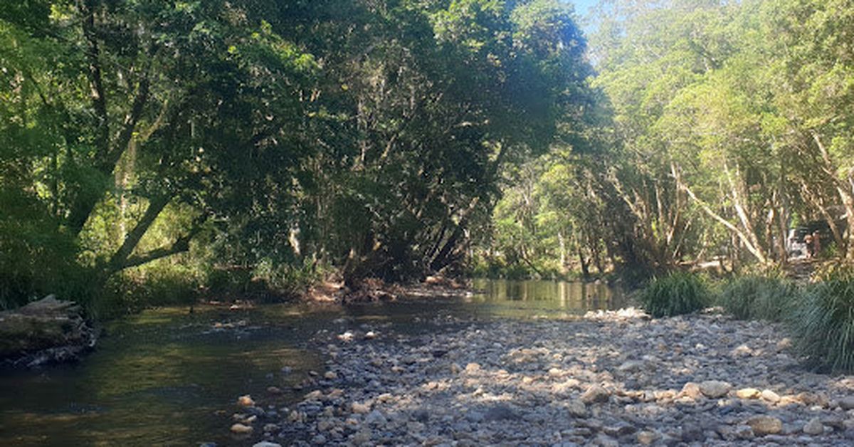 Two dead, woman in serious condition after drowning in NSW river