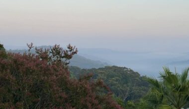Why does it smell like smoke in Sydney, the Hunter Valley, Newcastle and the Central Coast?
