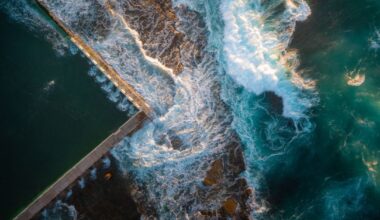 Ocean temperatures reach record high in Australia, according to Weatherzone