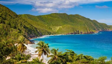 Shark kills American woman in the US Virgin Islands