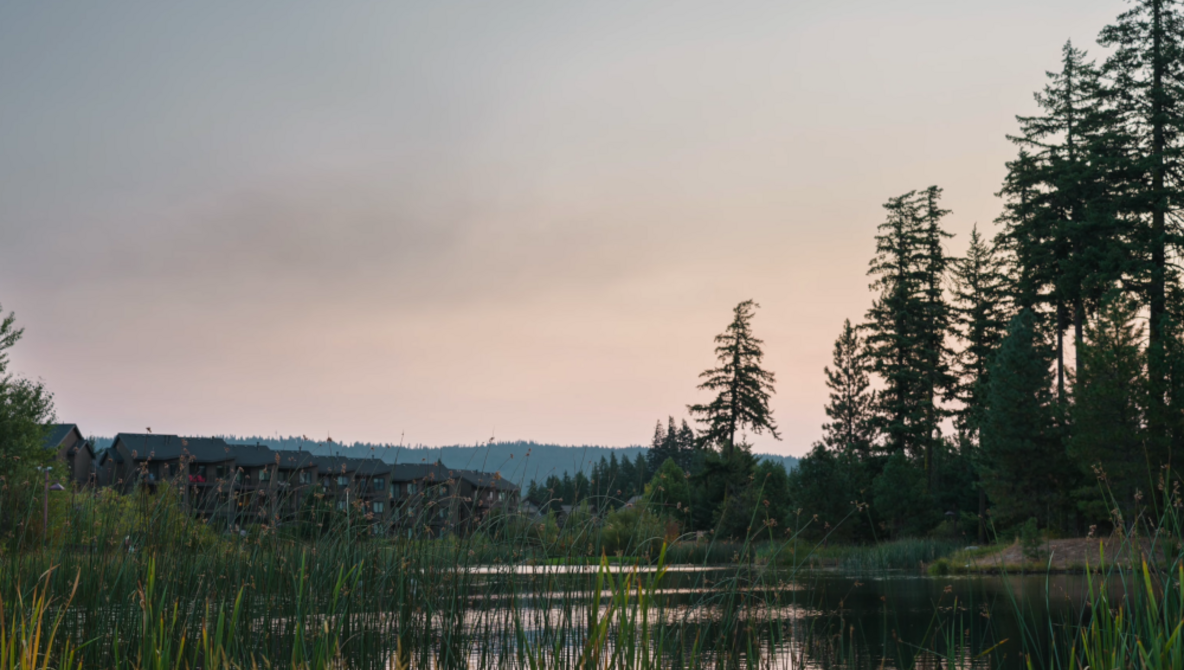 100 MP, Medium Format, No Video: Three Months With the Hasselblad 907X & CFV 100C