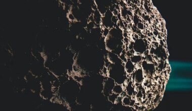 Scientists stumble upon fastest-spinning asteroid moving at dizzying speed