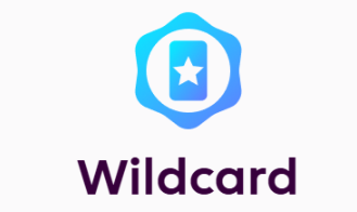 When should you use your remaining FPL chips?