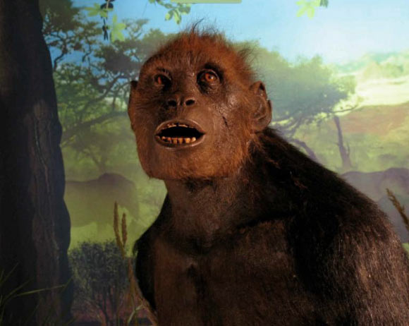 Reconstruction of Sahelanthropus tchadensis. Image credit: University of Silesia.