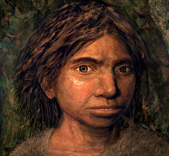 A portrait of a juvenile female Denisovan based on a skeletal profile reconstructed from ancient DNA methylation maps. Image credit: Maayan Harel.