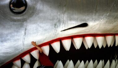 Government to ban all sharks from having teeth