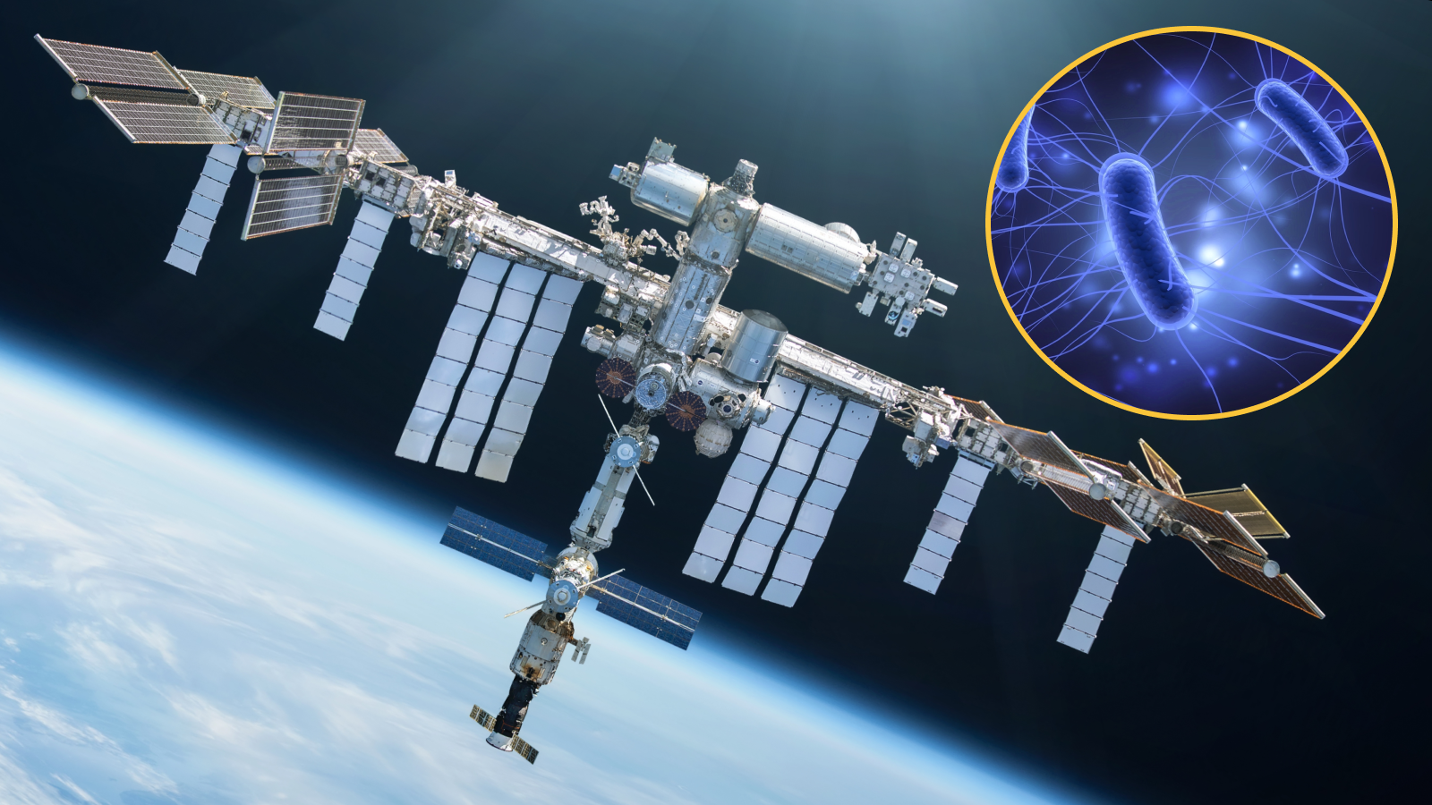 International Space Station as main image, circle superimposed on the image showing a digital illustration of e. coli bacteria.
