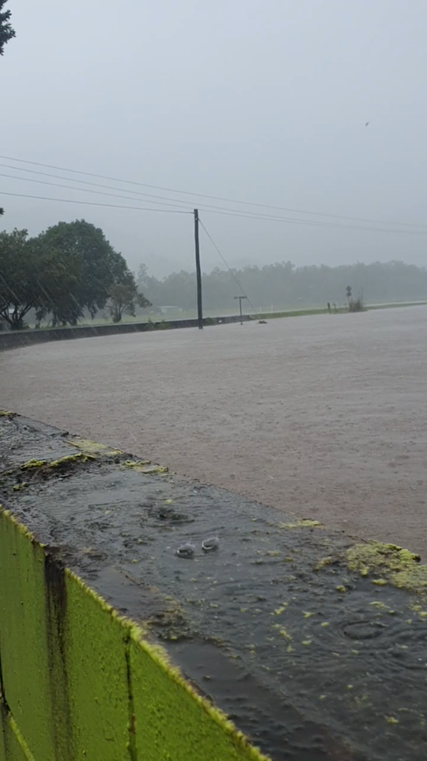A vertical photo of muddy brown water overflowing a bank.