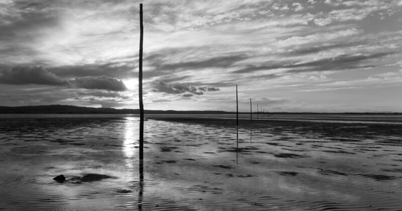 Black and white photo of a tidal flat at sunset, with tall wooden poles receding into the distance, reflections on wet sand, and dramatic clouds in the sky.