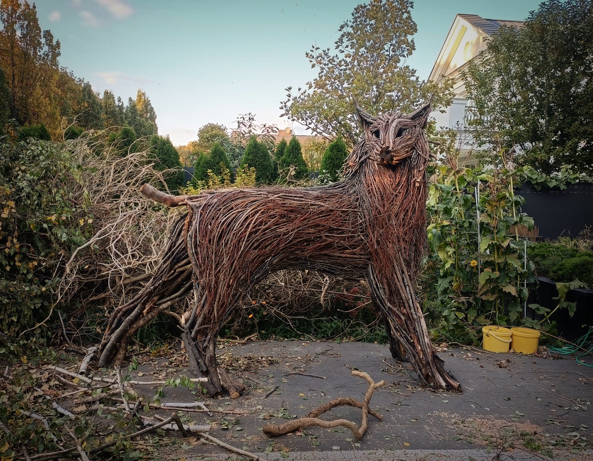 A sculpture of a lynx made from branches and twigs by Rodolfo Liprandi
