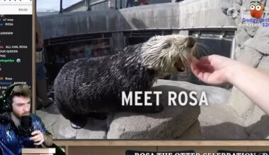 Theme park apps | lessons from video game design