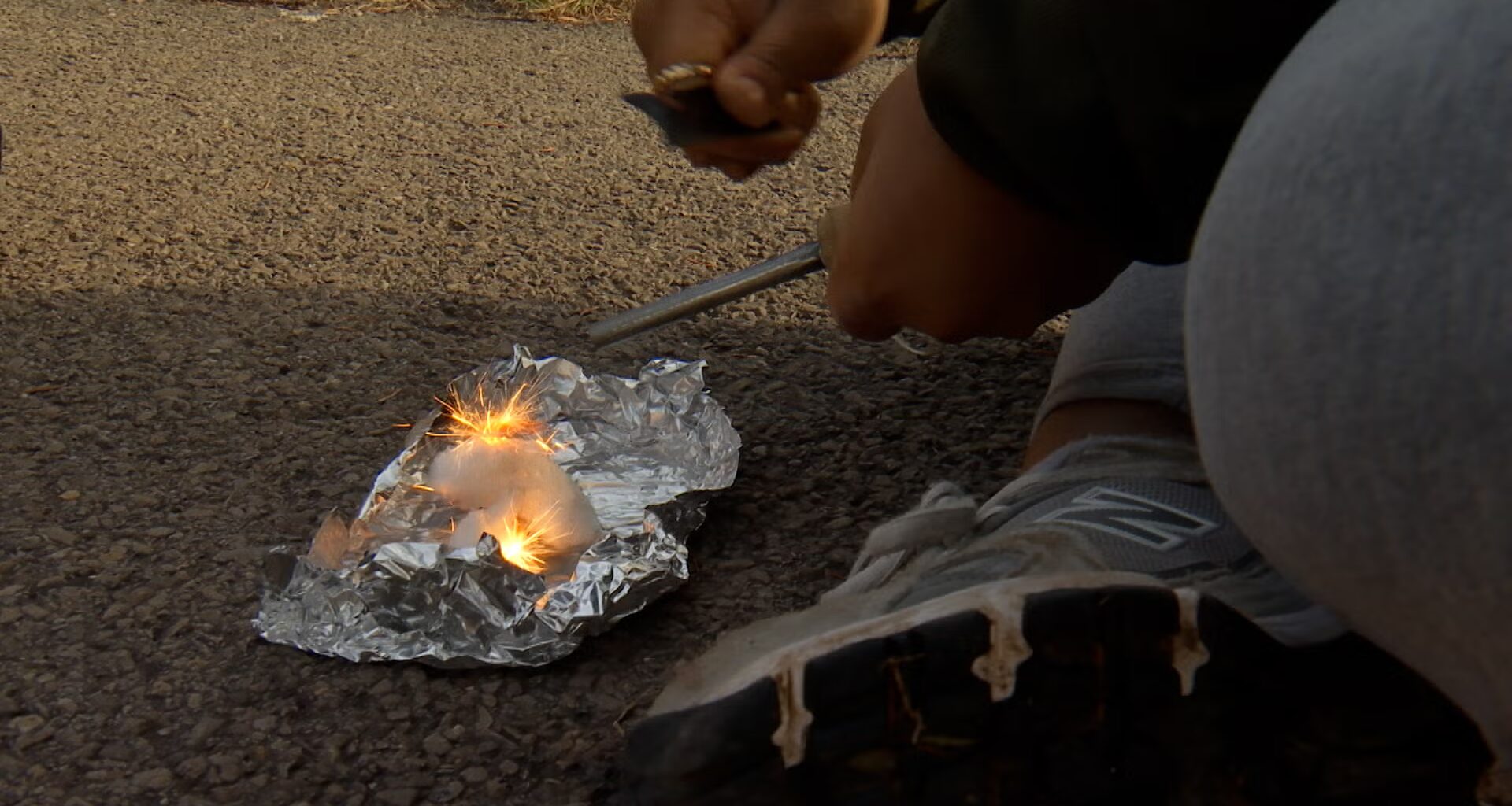 Review finds gaps in RCSD mental health policy, one solution lies in the woods