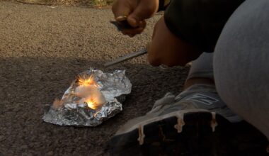 Review finds gaps in RCSD mental health policy, one solution lies in the woods