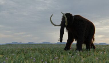 Museum Kept Mammoth Fossils for 70 Years. They Turned Out to Be Something Else Entirely