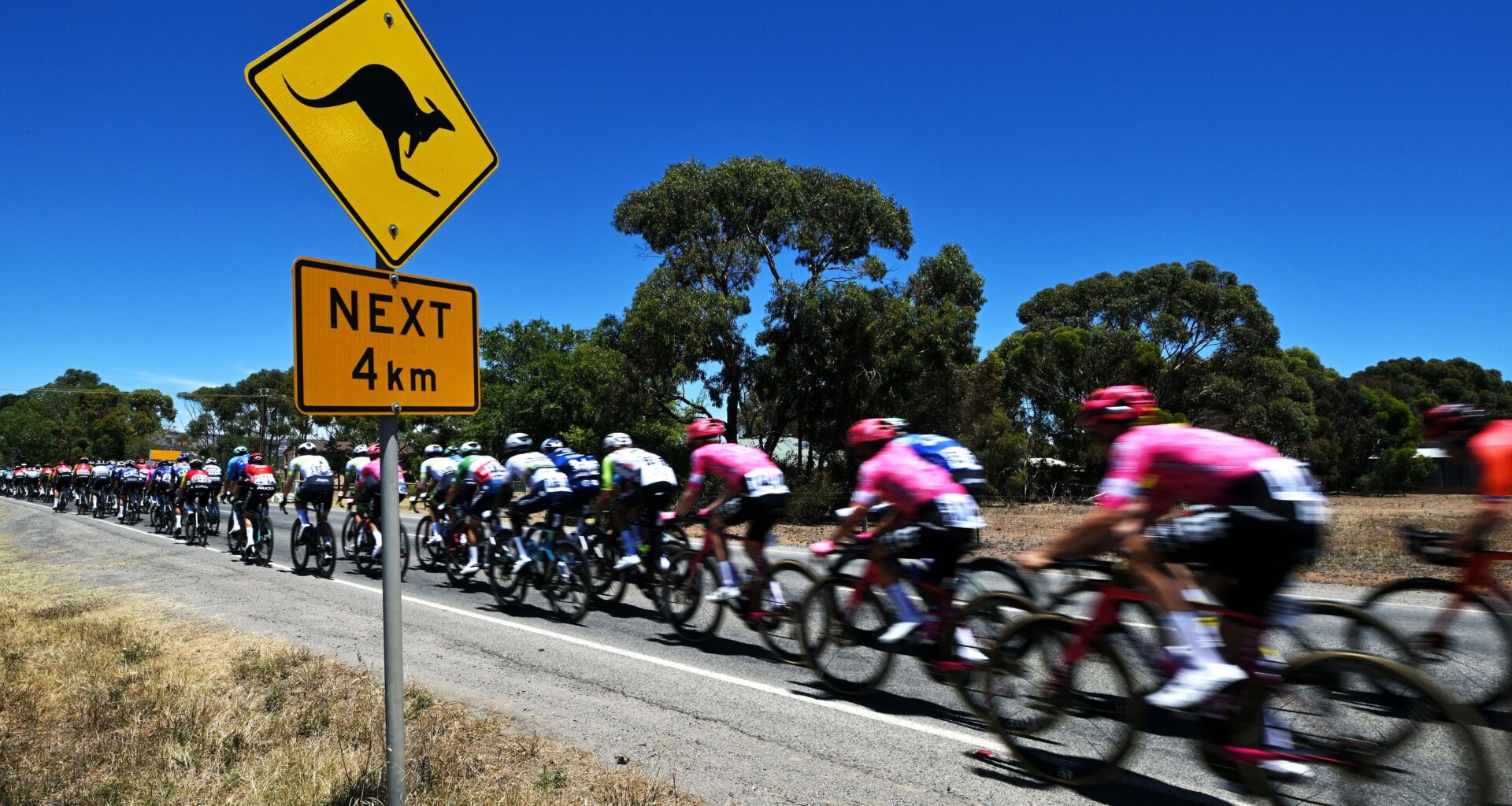 How to watch Tour Down Under 2026: free cycling streams online from anywhere