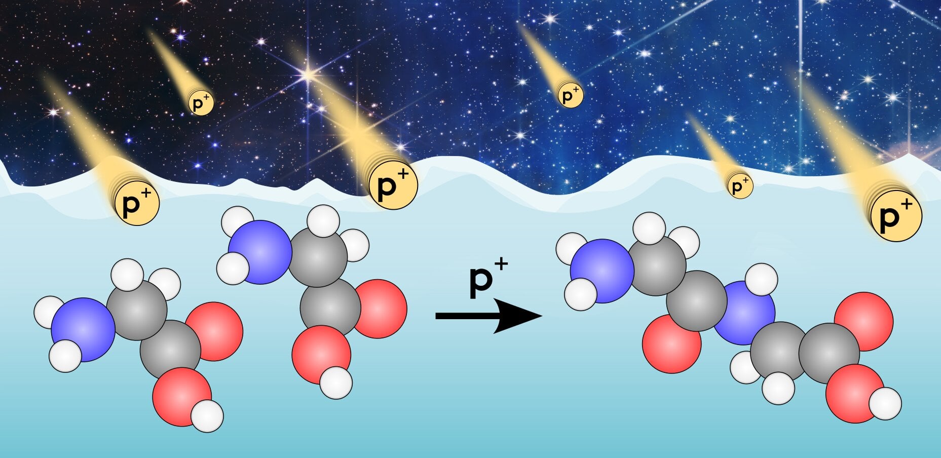 A graphical representation of glycine on a surface in the interstellar medium bombarded by cosmic rays to produce peptides, the building block of proteins. Credit: Hopkinson et al. (2025)/NASA/ESA/CSA/STScI