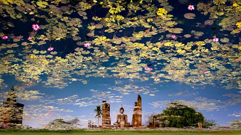 John Edwards/ tpoty.com (Credit: John Edwards/ tpoty.com)