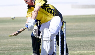 Warriors return to top of the Horsham cricket ladder