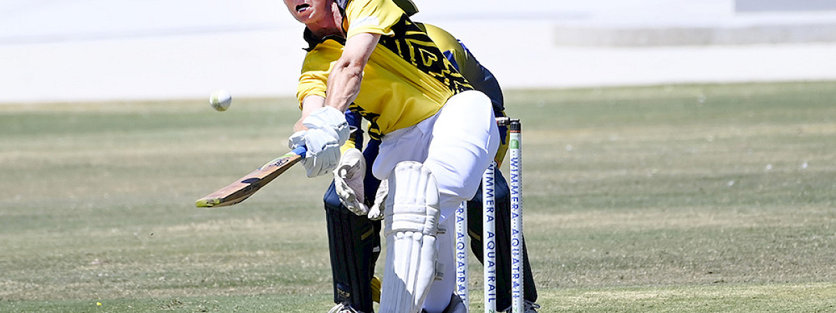 Warriors return to top of the Horsham cricket ladder