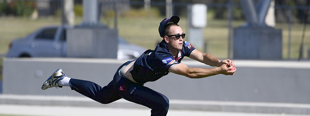 PHOTOS: T20 cricket bushfire all-star game a big win for all involved