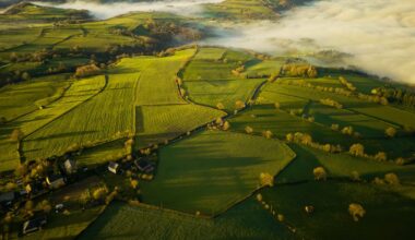 Following the European Union's ban on harmful pesticides, a recent study has shown that bird populations are slowly recovering.