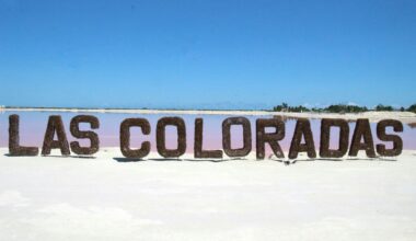 Take a nap, it's a late one tonight