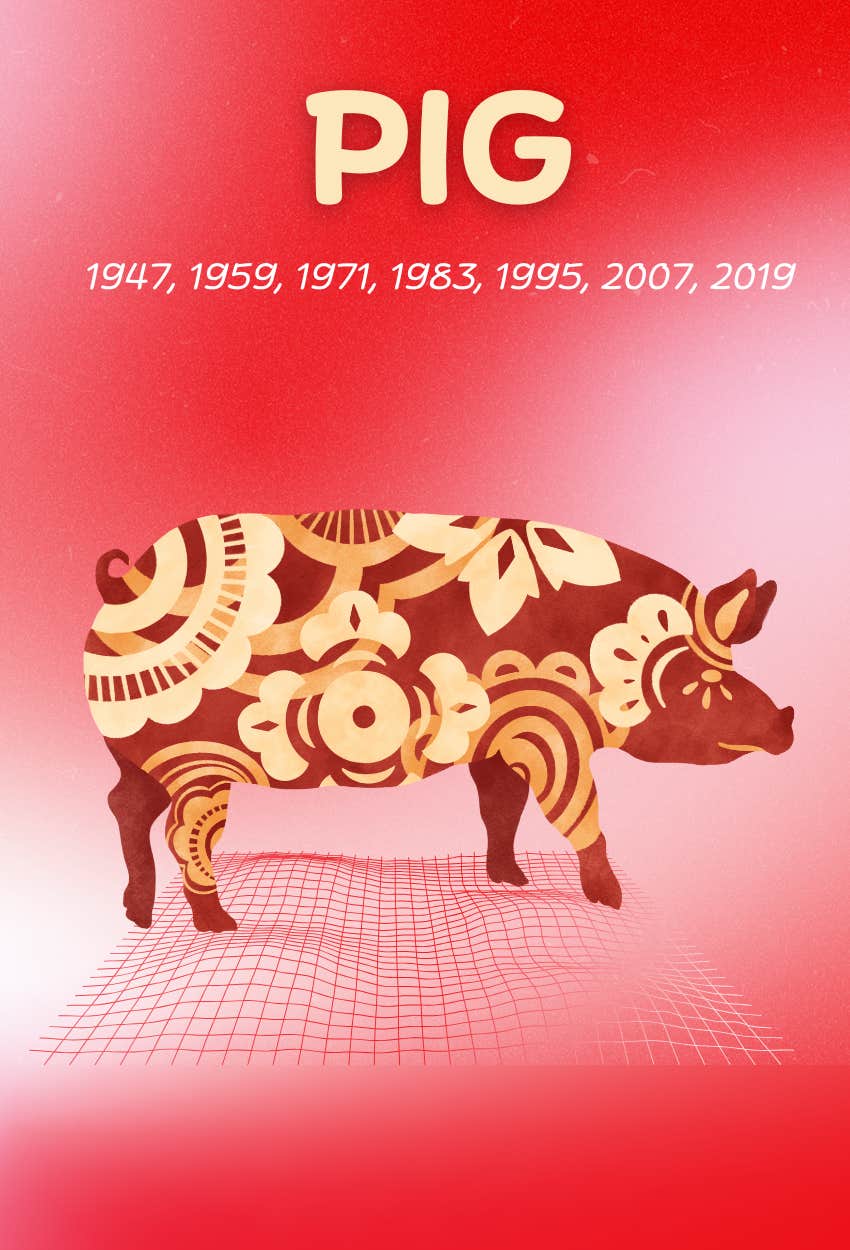pig chinese zodiac signs abundance january 26-february 1 2026