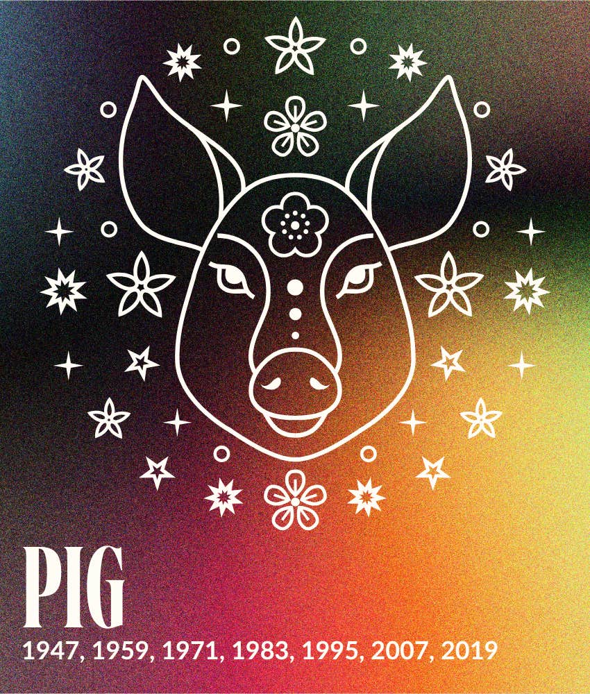 pig chinese zodiac signs luck good fortune january 12 - 18, 2026