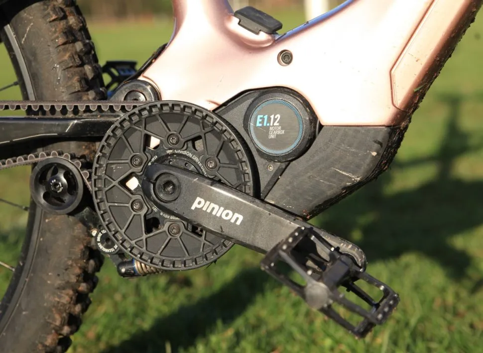 pinion electric bike market