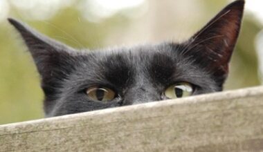 First glimpse of revised Division 296 tax