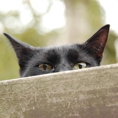 First glimpse of revised Division 296 tax