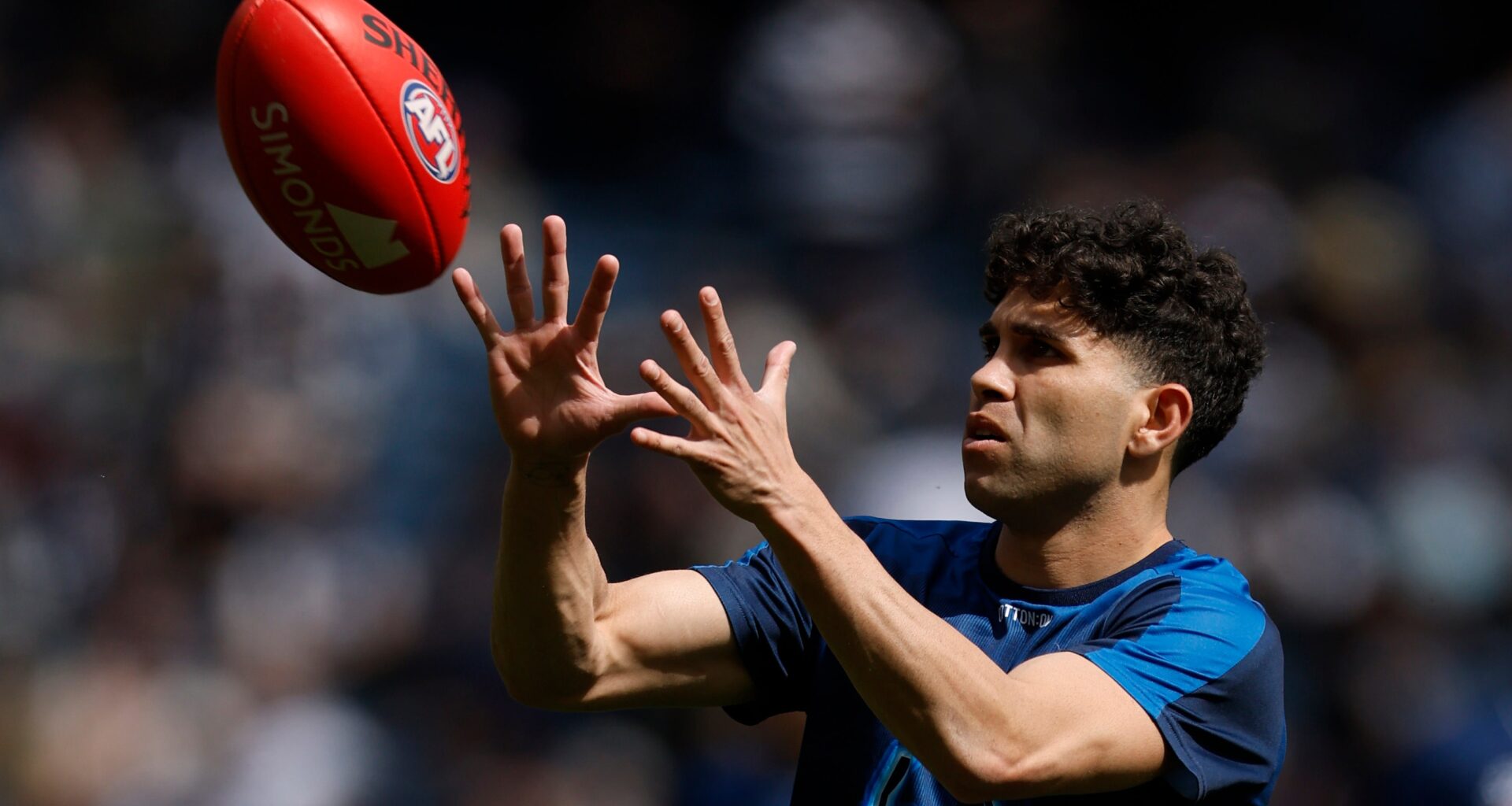 Stengle to take leave from Geelong, no timeline set on return